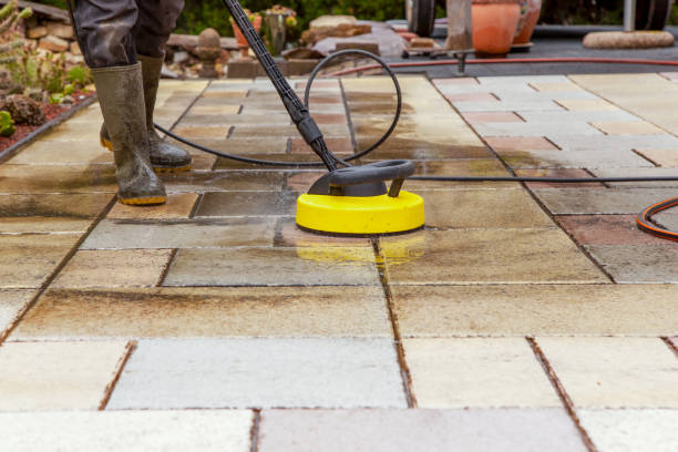 Best Boat and Dock Cleaning  in Lyons, IL